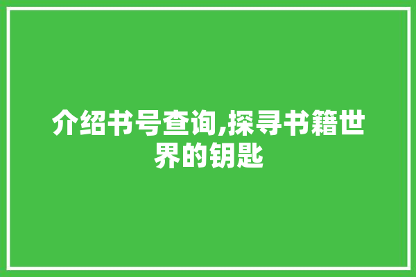 介绍书号查询,探寻书籍世界的钥匙 智能写作