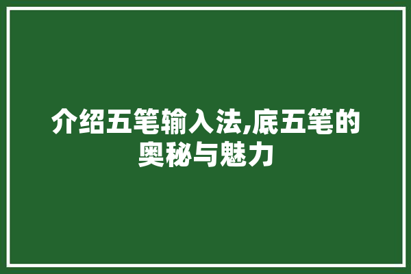 介绍五笔输入法,底五笔的奥秘与魅力