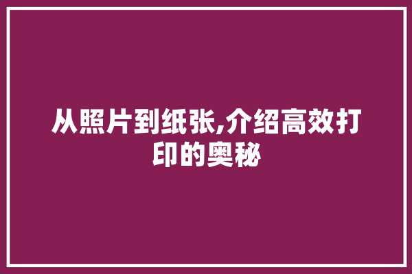从照片到纸张,介绍高效打印的奥秘