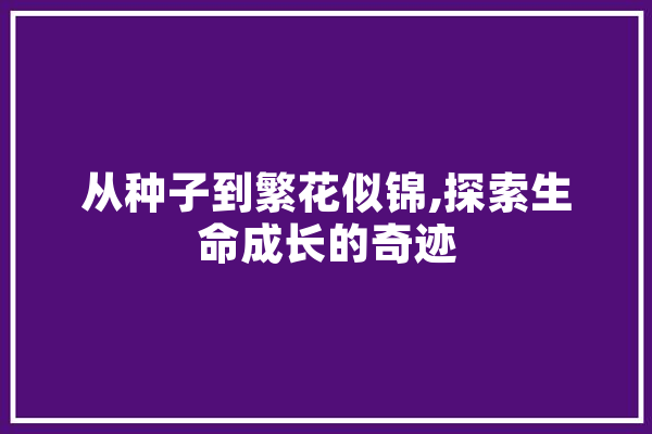 从种子到繁花似锦,探索生命成长的奇迹