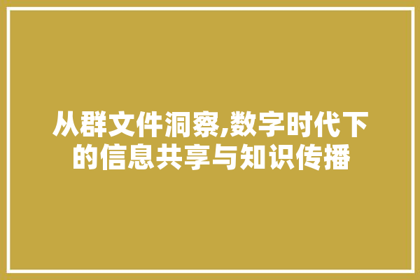 从群文件洞察,数字时代下的信息共享与知识传播