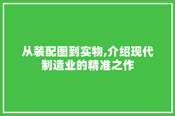 从装配图到实物,介绍现代制造业的精准之作 绘影字幕