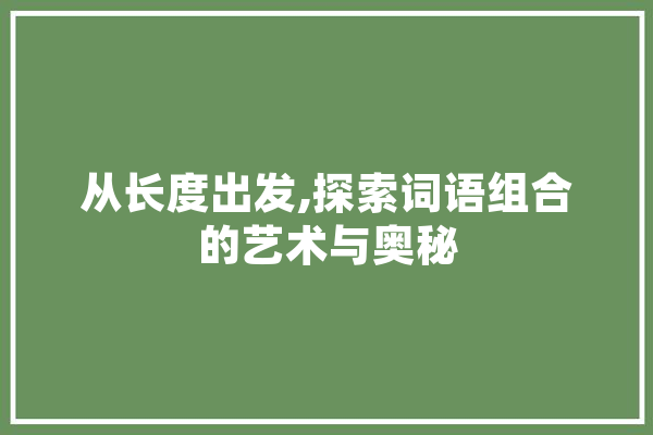 从长度出发,探索词语组合的艺术与奥秘