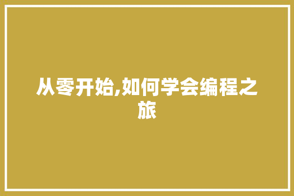 从零开始,如何学会编程之旅 智能助手