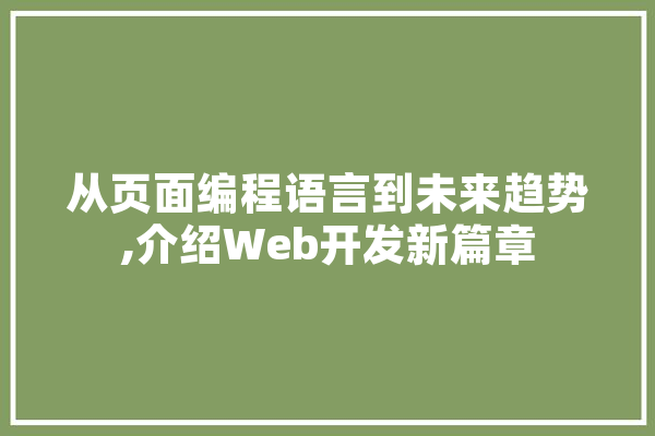 从页面编程语言到未来趋势,介绍Web开发新篇章