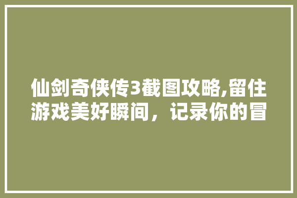 仙剑奇侠传3截图攻略,留住游戏美好瞬间，记录你的冒险旅程
