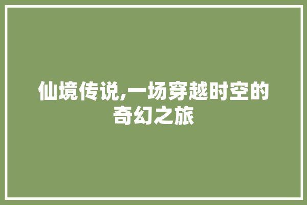 仙境传说,一场穿越时空的奇幻之旅