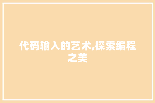 代码输入的艺术,探索编程之美