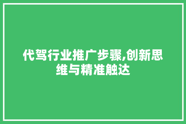 代驾行业推广步骤,创新思维与精准触达