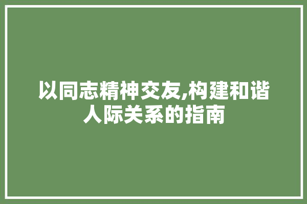 以同志精神交友,构建和谐人际关系的指南 智能问答