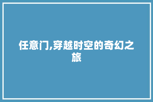 任意门,穿越时空的奇幻之旅