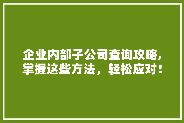 企业内部子公司查询攻略,掌握这些方法，轻松应对！ 科技快讯