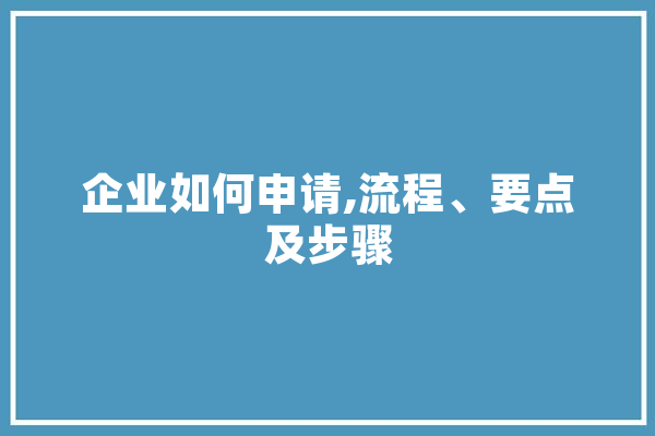 企业如何申请,流程、要点及步骤