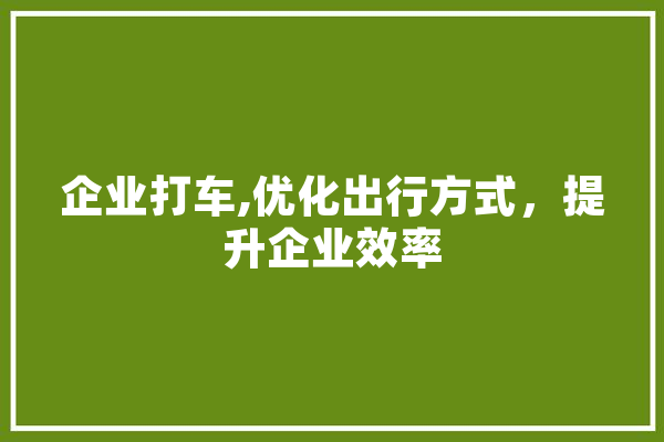 企业打车,优化出行方式，提升企业效率