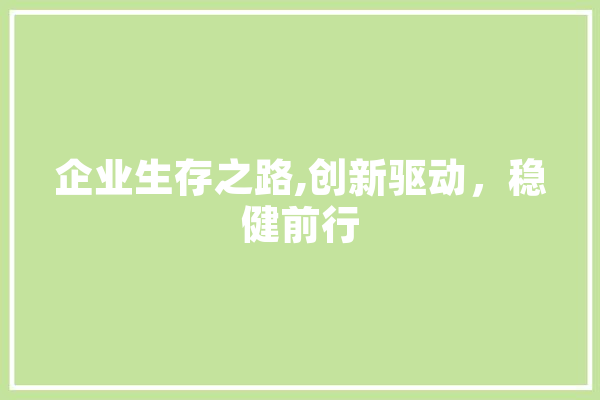 企业生存之路,创新驱动，稳健前行