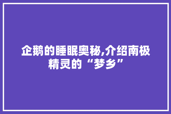 企鹅的睡眠奥秘,介绍南极精灵的“梦乡”
