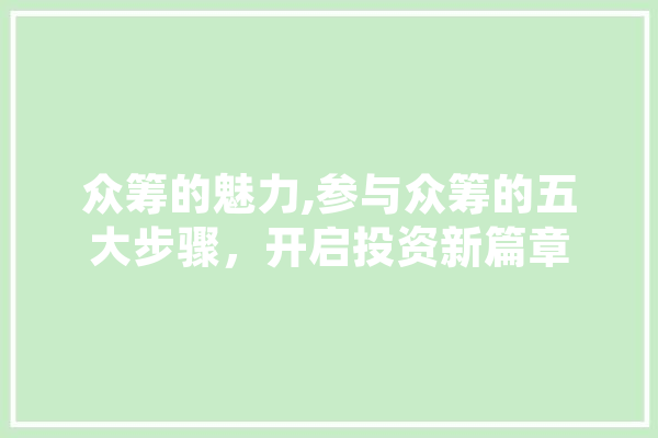 众筹的魅力,参与众筹的五大步骤，开启投资新篇章