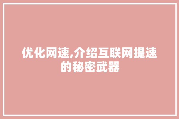 优化网速,介绍互联网提速的秘密武器