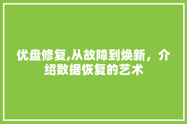 优盘修复,从故障到焕新，介绍数据恢复的艺术