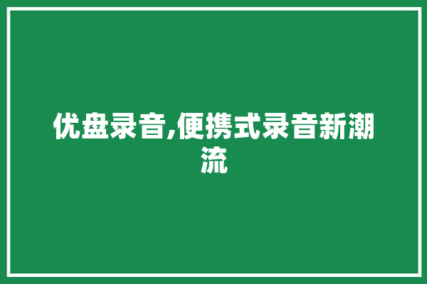 优盘录音,便携式录音新潮流