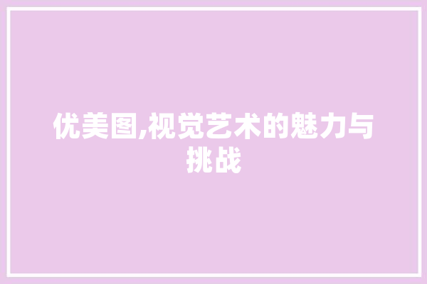 优美图,视觉艺术的魅力与挑战