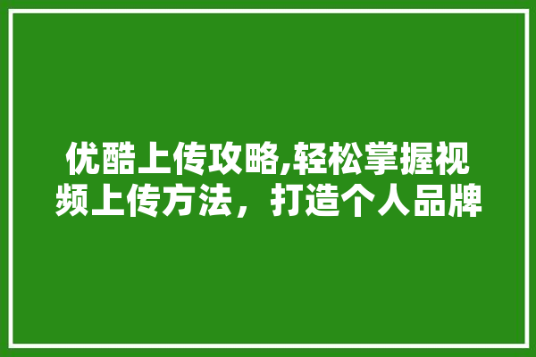 优酷上传攻略,轻松掌握视频上传方法，打造个人品牌
