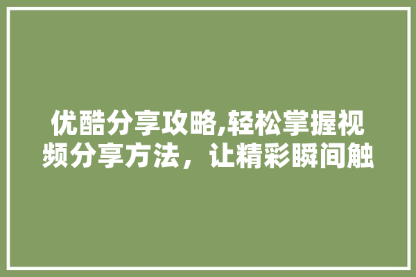 优酷分享攻略,轻松掌握视频分享方法，让精彩瞬间触手可及