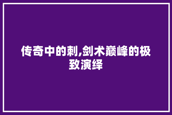 传奇中的刺,剑术巅峰的极致演绎