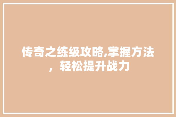 传奇之练级攻略,掌握方法，轻松提升战力 智能助手