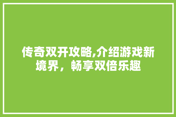 传奇双开攻略,介绍游戏新境界，畅享双倍乐趣
