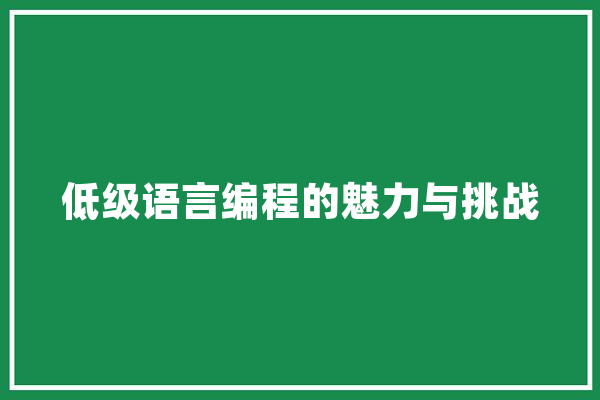 低级语言编程的魅力与挑战