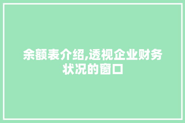 余额表介绍,透视企业财务状况的窗口