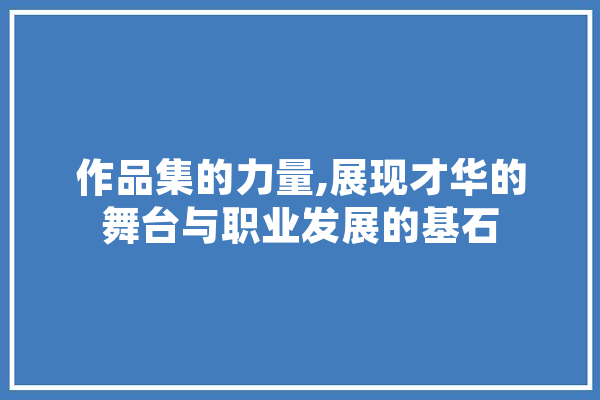 作品集的力量,展现才华的舞台与职业发展的基石