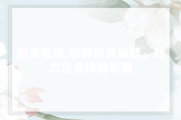 佣金查询,掌握财务脉搏，助力企业稳健发展