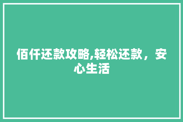 佰仟还款攻略,轻松还款，安心生活