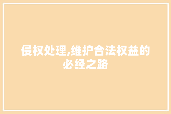 侵权处理,维护合法权益的必经之路 云服务