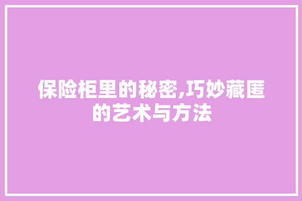 保险柜里的秘密,巧妙藏匿的艺术与方法