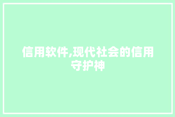信用软件,现代社会的信用守护神