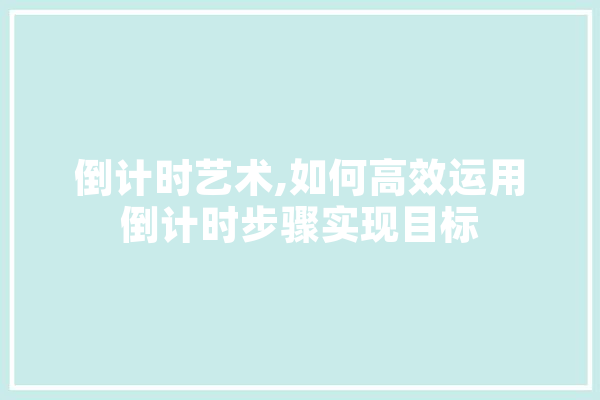 倒计时艺术,如何高效运用倒计时步骤实现目标