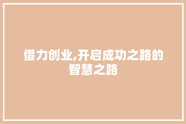 借力创业,开启成功之路的智慧之路