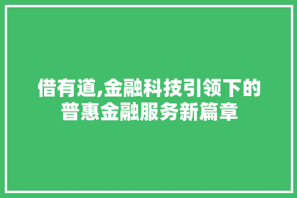 借有道,金融科技引领下的普惠金融服务新篇章