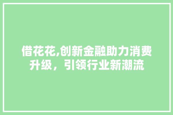借花花,创新金融助力消费升级，引领行业新潮流