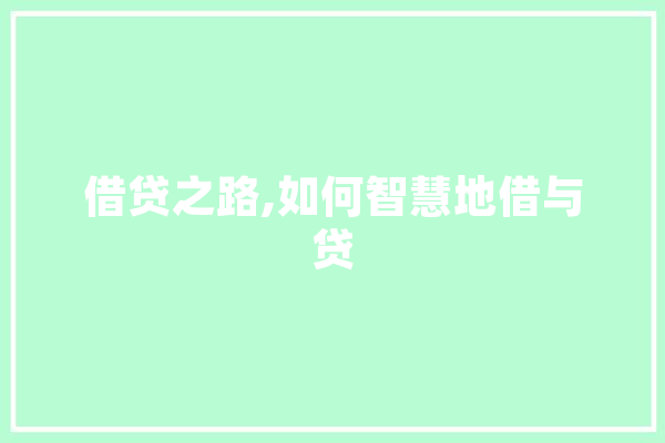 借贷之路,如何智慧地借与贷 智能助手