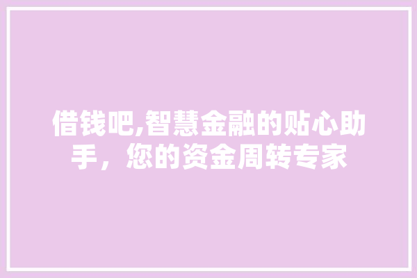 借钱吧,智慧金融的贴心助手，您的资金周转专家