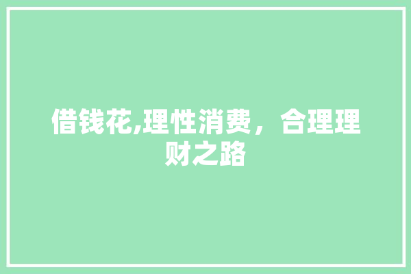 借钱花,理性消费，合理理财之路 绘影字幕