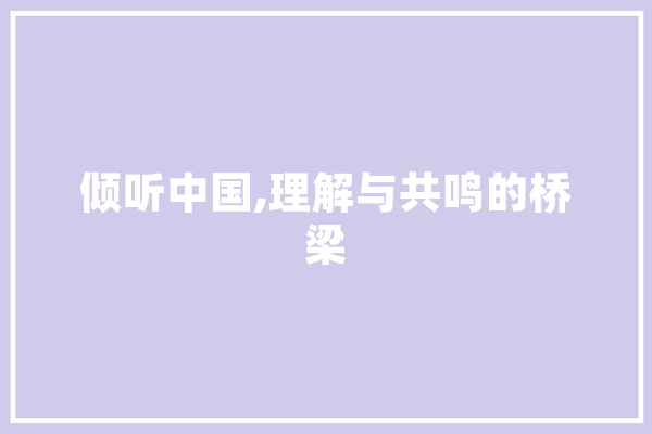 倾听中国,理解与共鸣的桥梁
