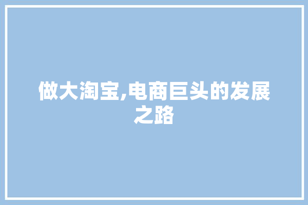 做大淘宝,电商巨头的发展之路
