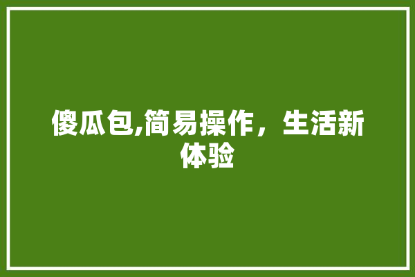 傻瓜包,简易操作，生活新体验 科技快讯