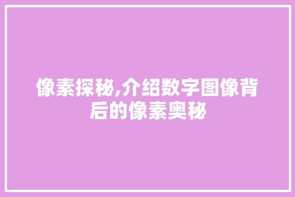 像素探秘,介绍数字图像背后的像素奥秘