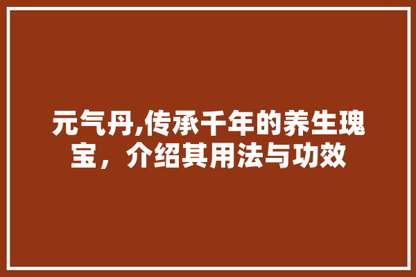 元气丹,传承千年的养生瑰宝，介绍其用法与功效 绘影字幕